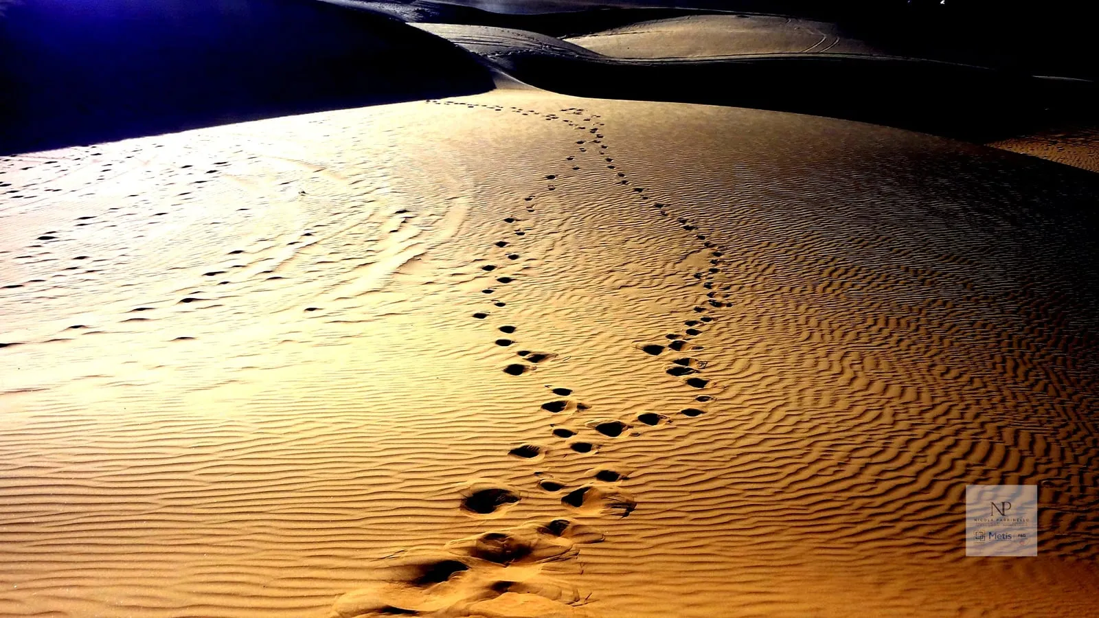 Una fila di impronte attraversa una duna di sabbia dorata e si perde verso l’orizzonte
